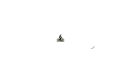 spinner 2
