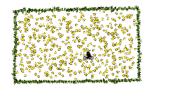 500 stars