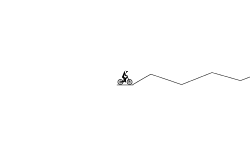 MTB race