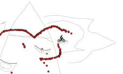 auto bike