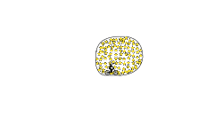 Loop of 100 stars