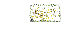 200 stars