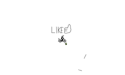 DONT MOVE