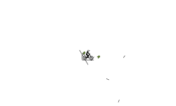 AUTO 2