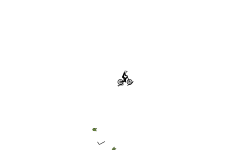 Quick Auto
