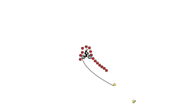 raedins 1