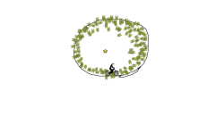 circle