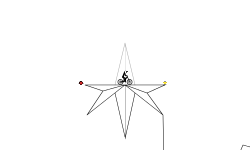 Random shape race