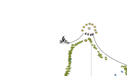 Gravity and loops