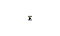 Block glitch