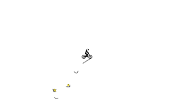 DONT MOVE