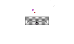 Box Contest