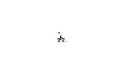 auto surfing!