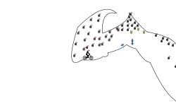 TNT CAVE