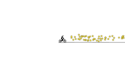 2000 stars