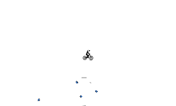 Wheelie.