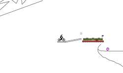 THE RACE...............