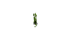 Something