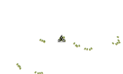don't move or give up