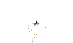 auto first