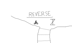 100% REVERSE (Read Desc)