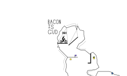 Bacon is good