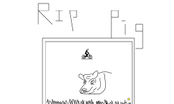 Rip the pig