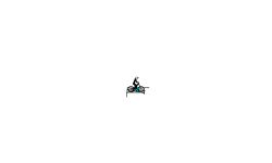 A track