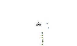 Helicopter