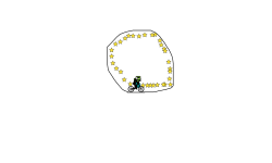 stary circle