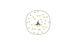 Circle