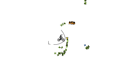 Fast Paced Auto