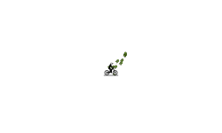 First don’t move