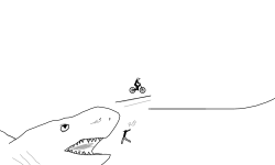 The Shark