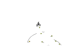 BMX AuTo
