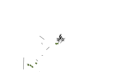 auto level (preview)
