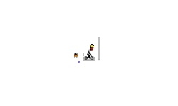 Challenge 13