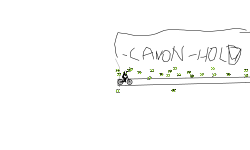 HOLD UP AUTO CANON