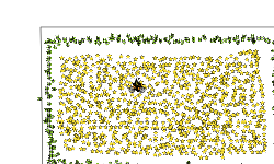 1000 Stars NO LAG