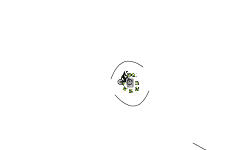 SPINNY AUTO