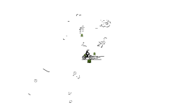 Glitch Auto