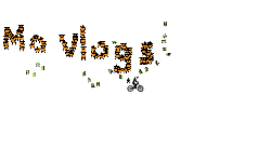 shift auto