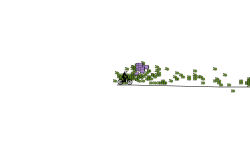 F1 Blob