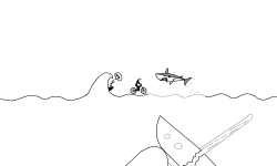 shark attack