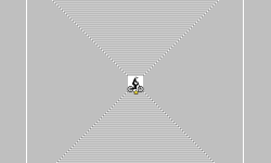 ILLUSIONIST