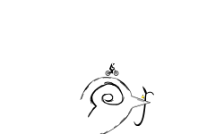 Continue the Bird??