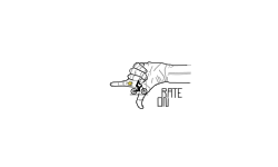 The Hand