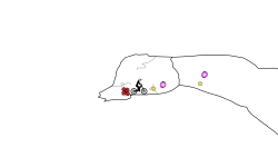 the cave to heaven