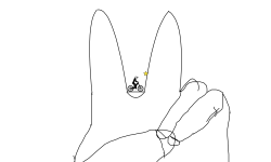 peace