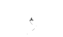 Auto/Wheelie #3